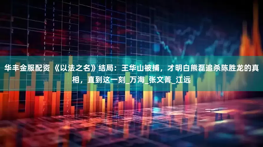 华丰金服配资 《以法之名》结局：王华山被捕，才明白熊磊追杀陈胜龙的真相，直到这一刻_万海_张文菁_江远
