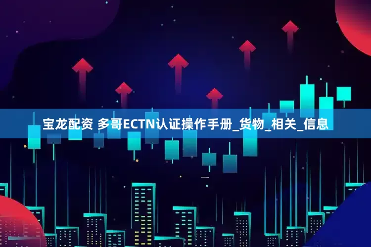 宝龙配资 多哥ECTN认证操作手册_货物_相关_信息